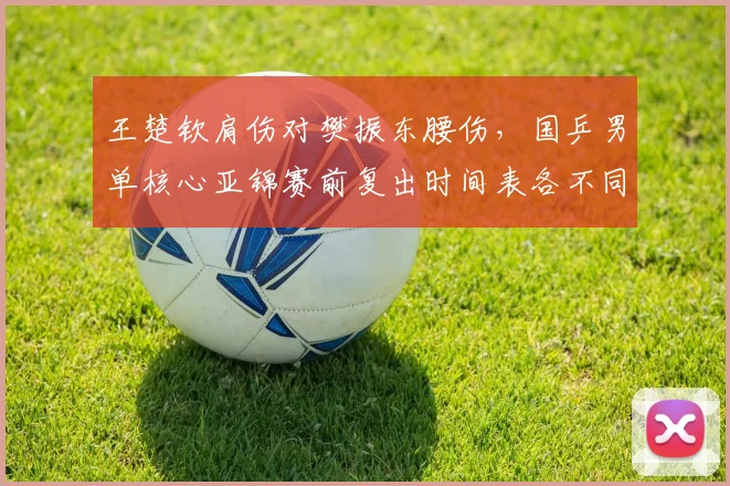 王楚钦肩伤对樊振东腰伤，国乒男单核心亚锦赛前复出时间表各不同？